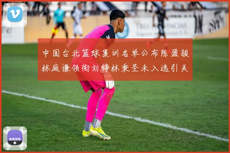 中国台北篮球集训名单公布陈盈骏林庭谦领衔刘铮林秉圣未入选引关注